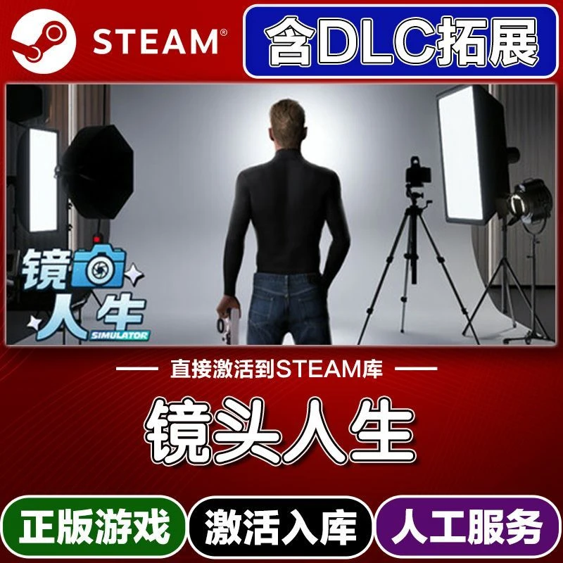 镜头人生 带全DLC电脑游戏 steam入库人工远程安装