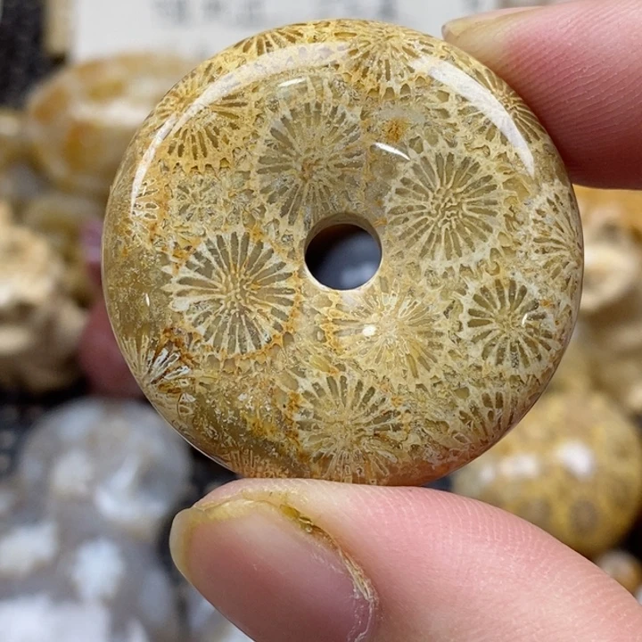 颈饰未镶嵌硅化珊瑚（珊瑚玉）