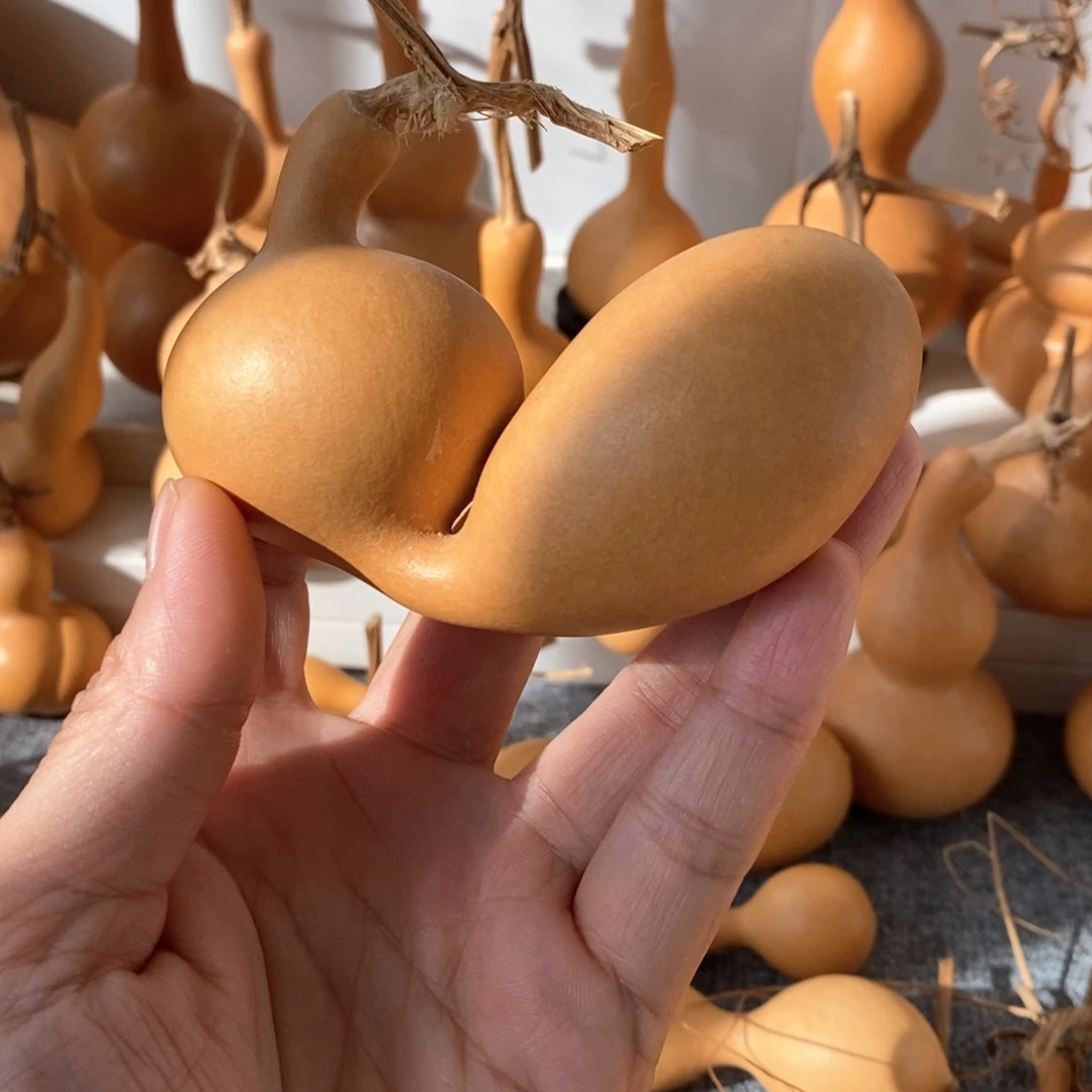 半*子1111111111111111