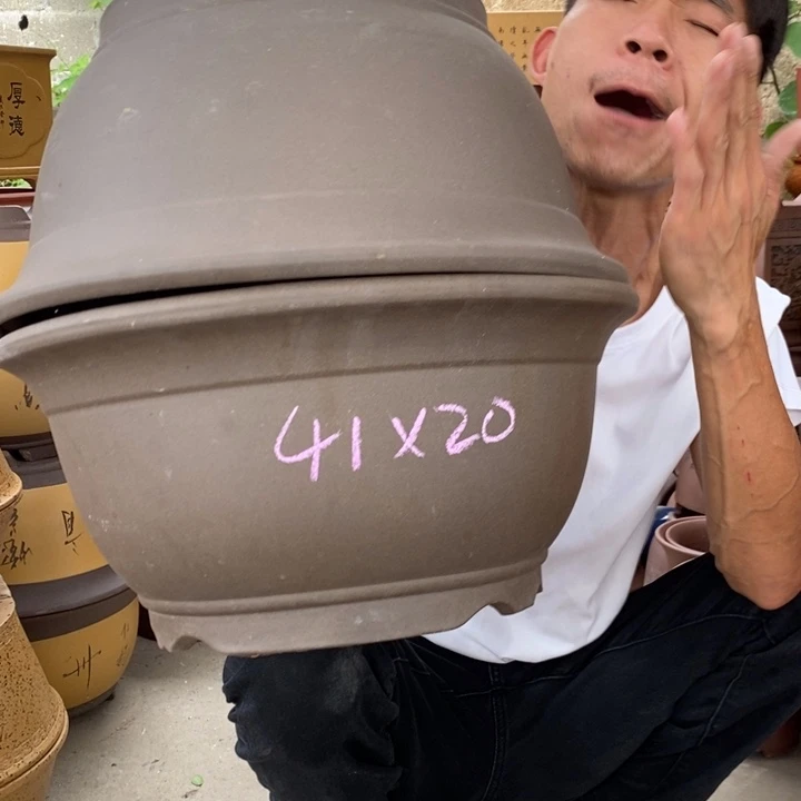 紫砂紫砂紫砂紫砂