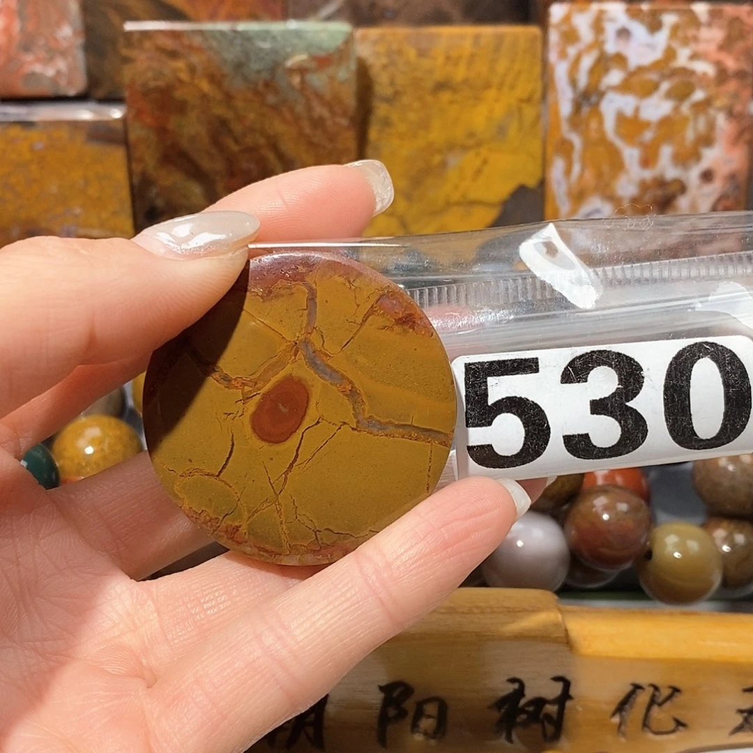 未镶嵌天然北票树化玉吊坠硅化玉