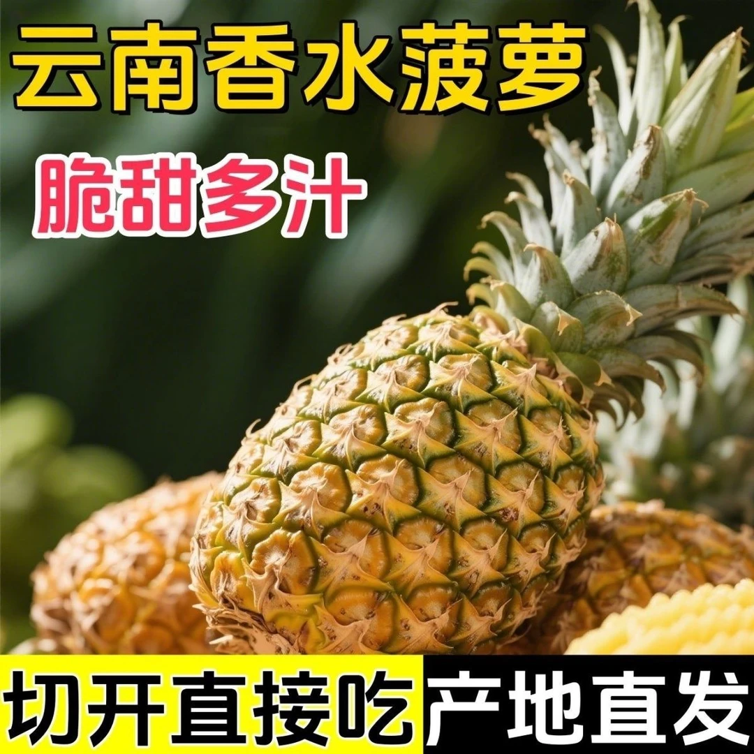 【正宗】云南香水菠萝自然成熟水果果园直发香甜孕妇水果约3-5个