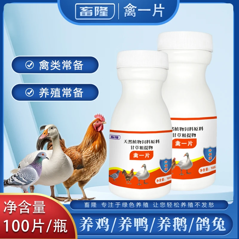 【全新升级】禽一片鸡鸭鹅鸽子鹌鹑家禽适用饲料添加剂厂家直销