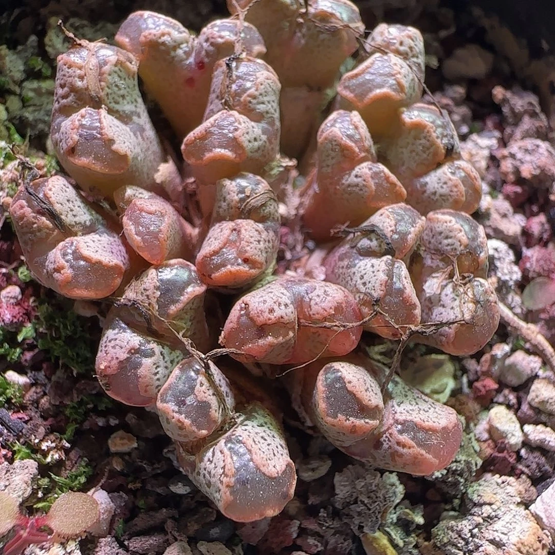 哈哈哈哈哈哈哈。 418