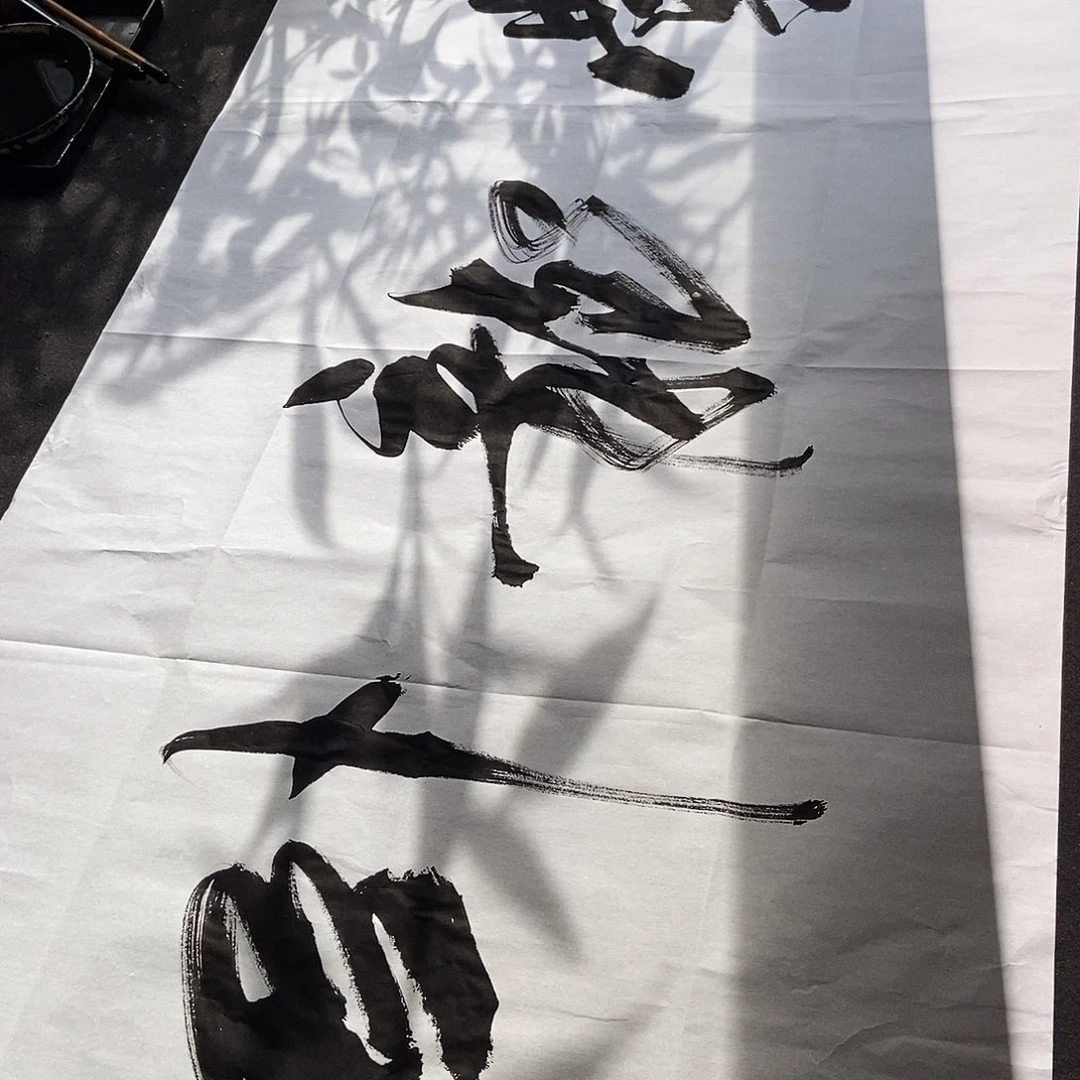 c***呀书法老师书画作品