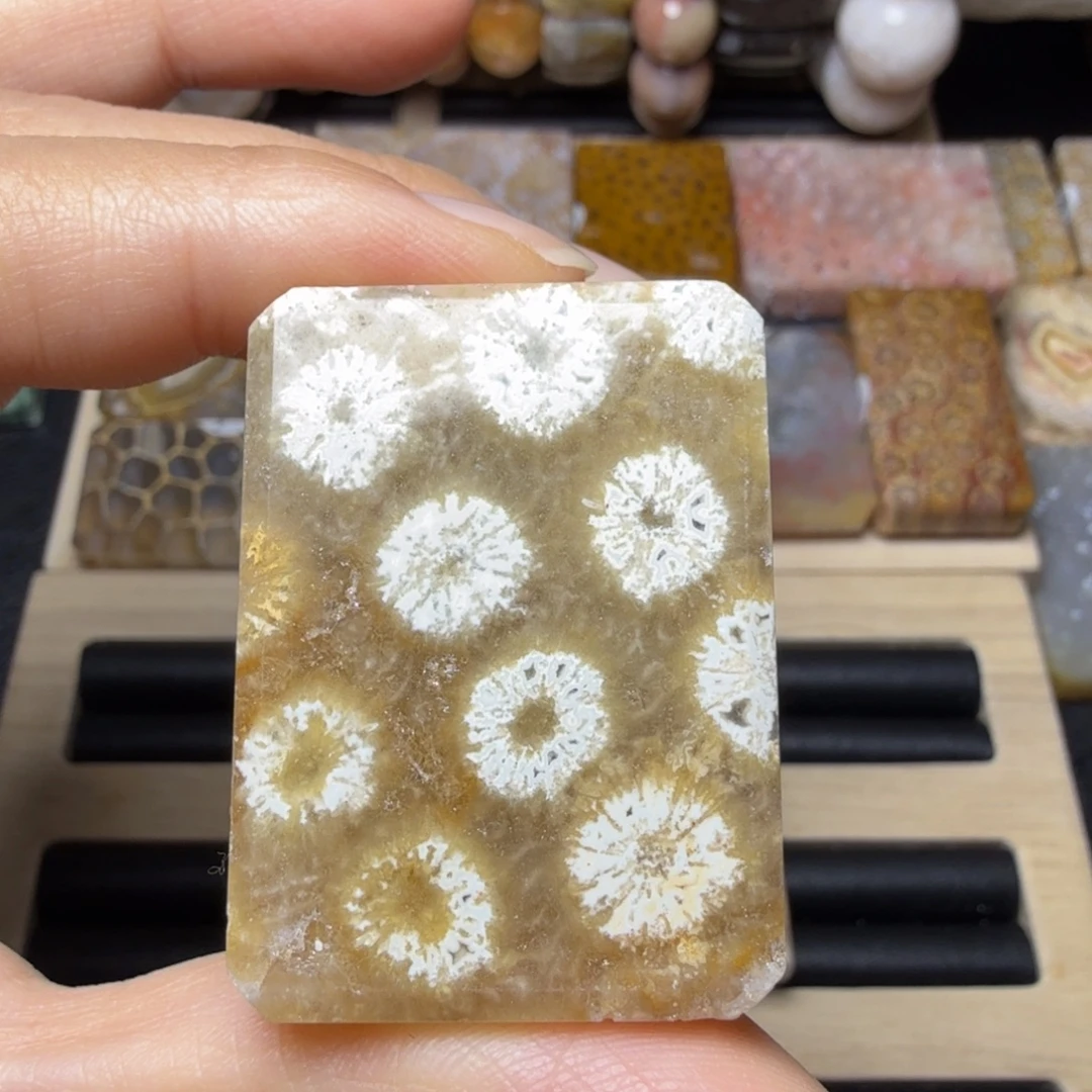 硅化玉未镶嵌爆闪 糖底皮花，有晶洞