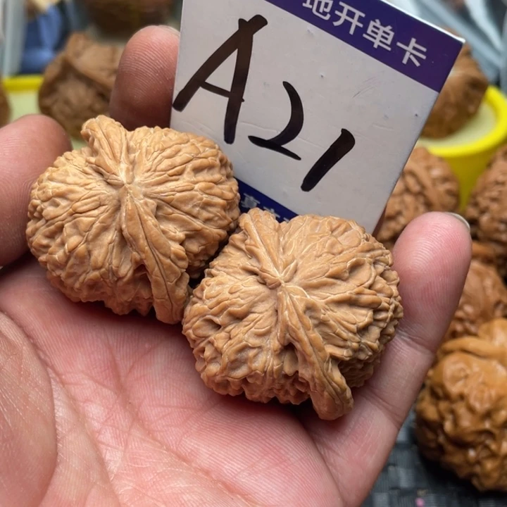 把件文玩核桃白狮子40尺