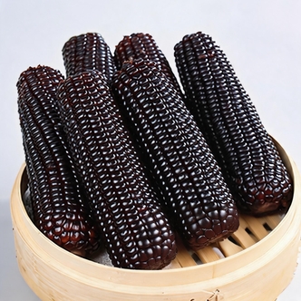 【肆禧芝】山西忻州黑糯玉米8根 单根260～300g