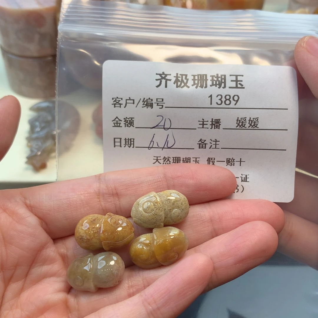 硅化珊瑚（珊瑚玉）未镶嵌颈饰五*