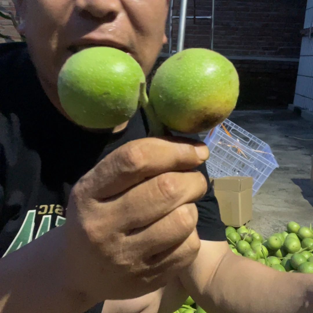 文玩核桃吊坠盘山青皮50包熟不退，2个