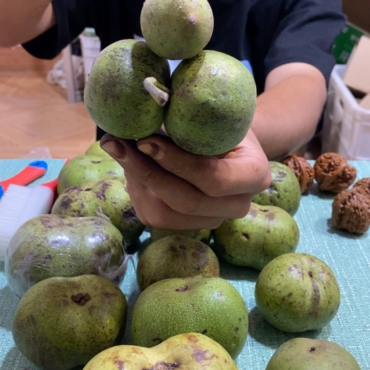 把件文玩核桃L*4