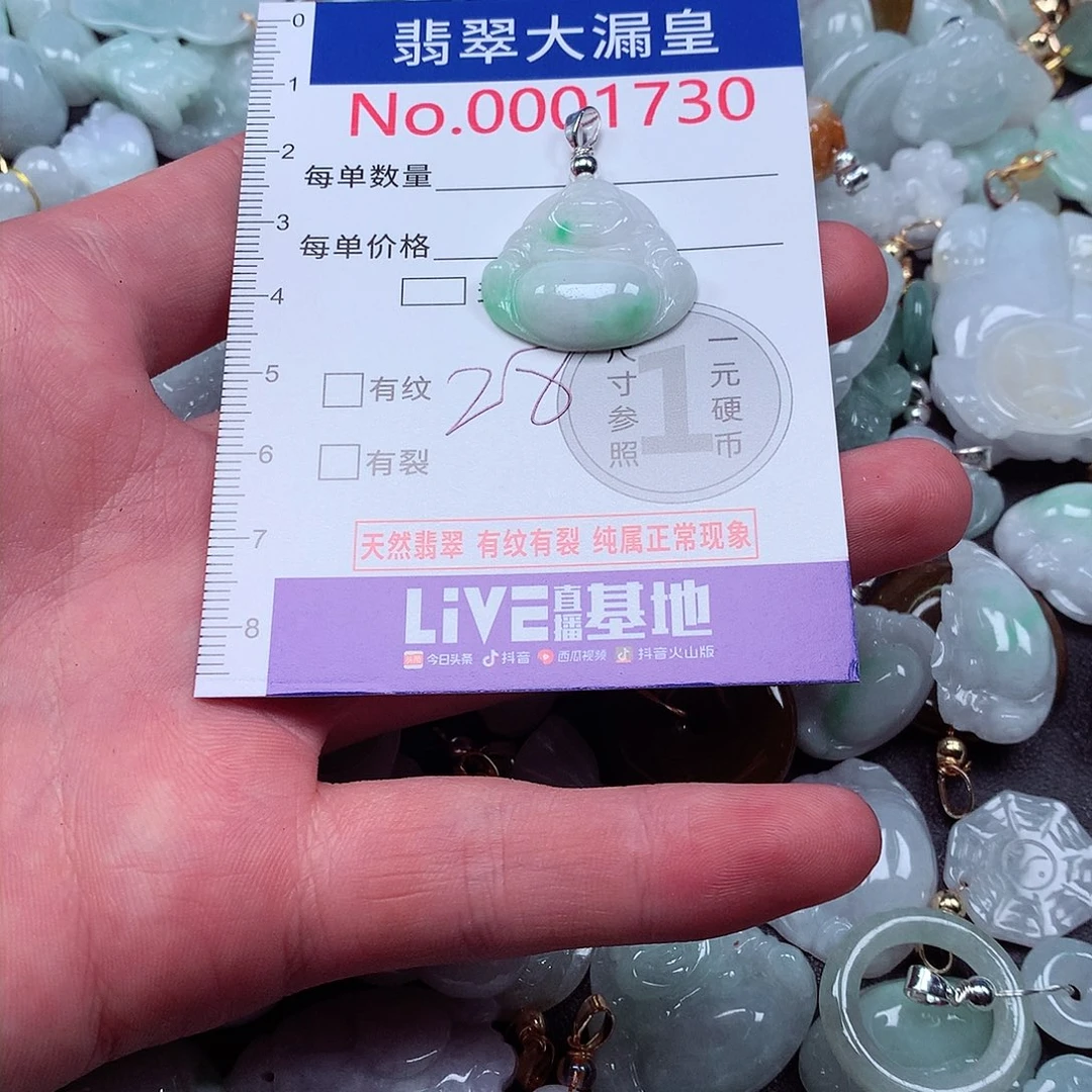 颈饰未镶嵌翡翠h