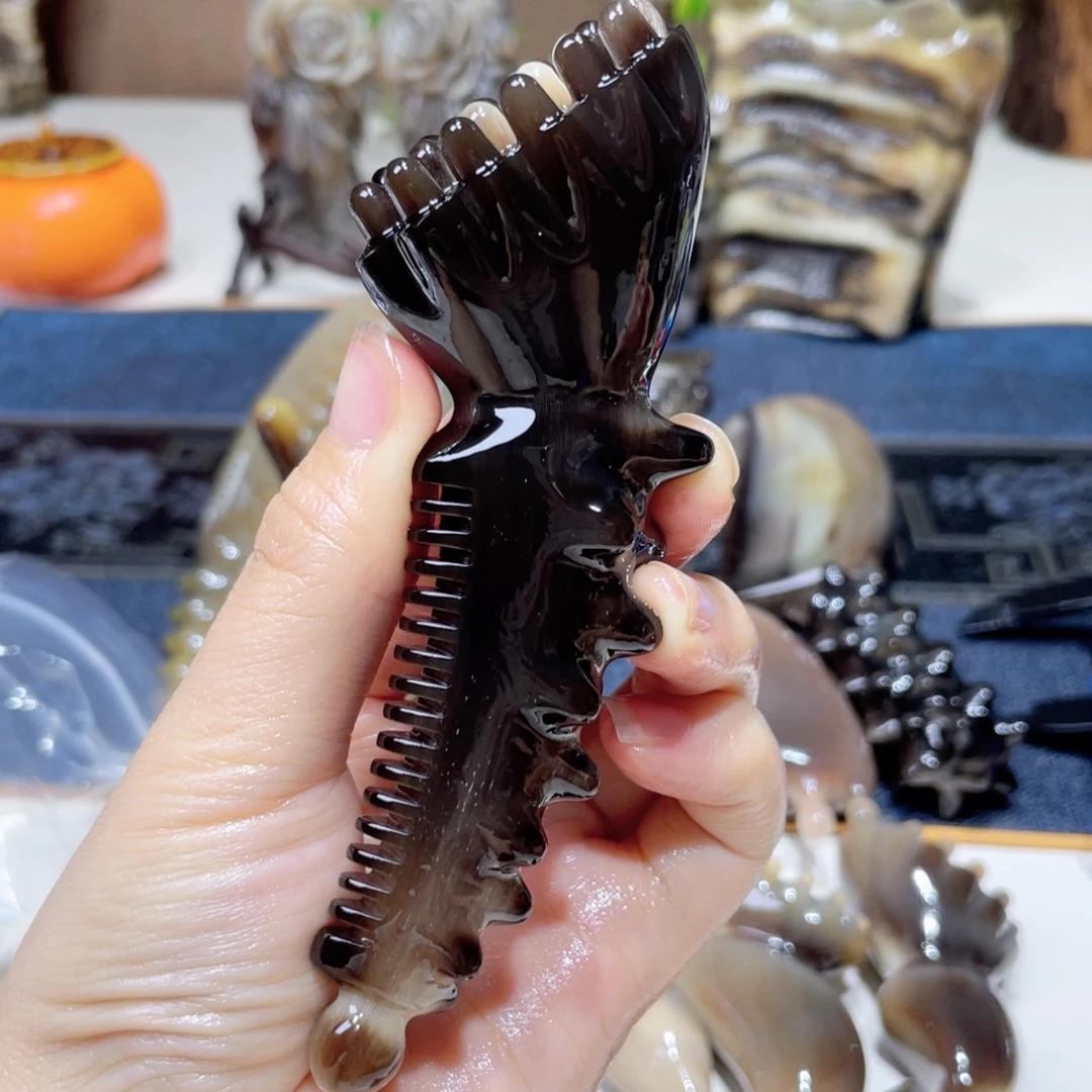 黑金刚脸梳海参莲蓬