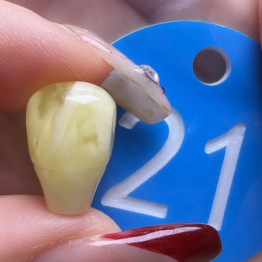 蜜蜡未镶嵌珠宝奇石9.2mm金白三通