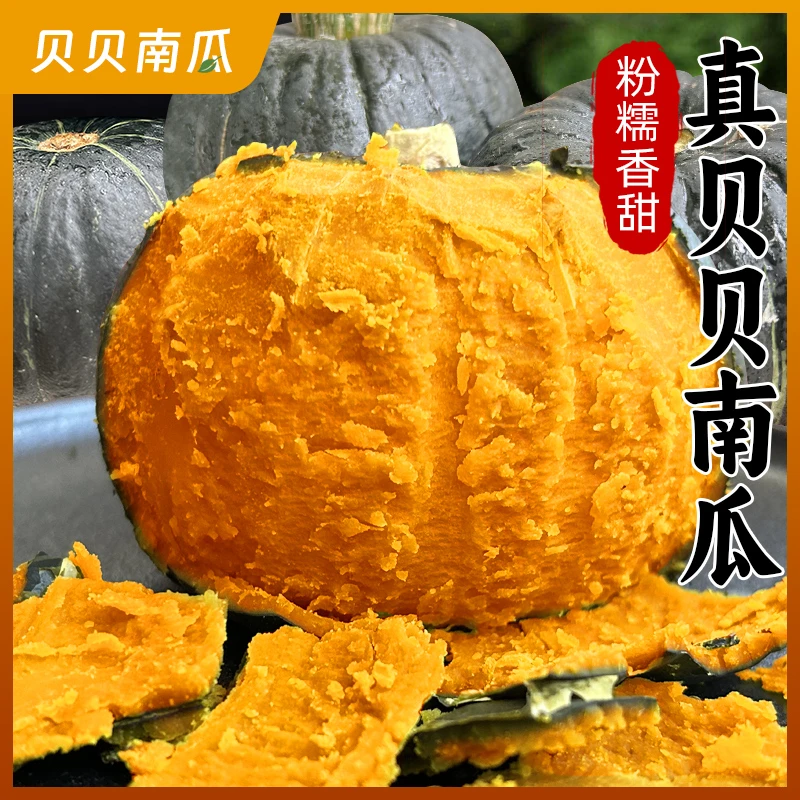 贝贝南瓜正宗新鲜板栗味粉糯老南瓜婴儿辅食孕妇t1