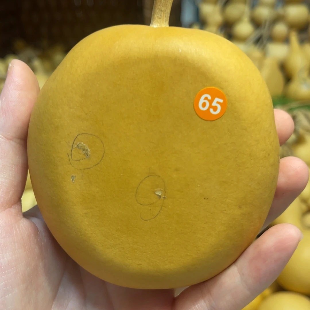 闪拍葫芦链接-65号品