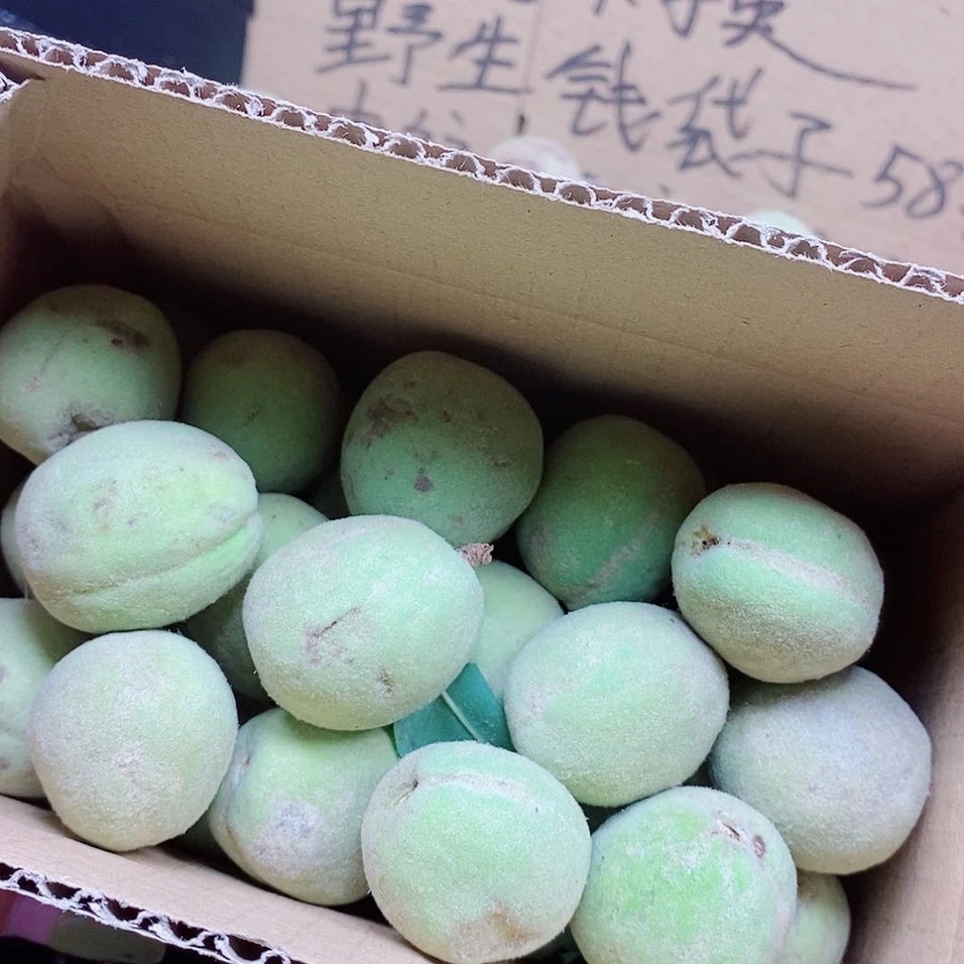 核***缘桃核手串野生钱袋子21
