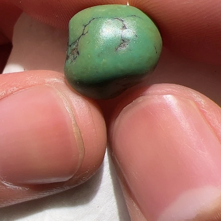 香榧木我也有很多的