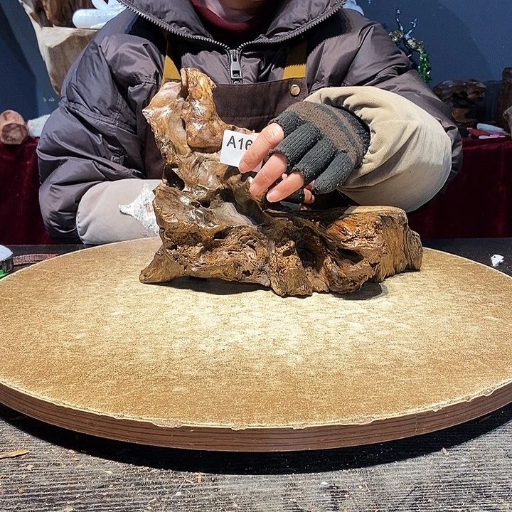 不*理167株木随行的小根艺的