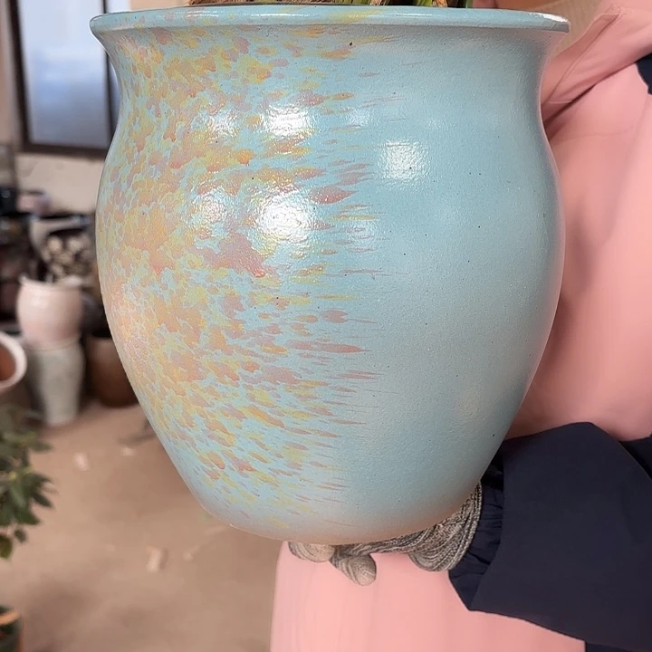 正品高24口22花盆