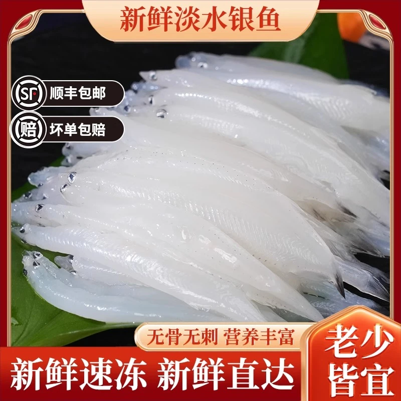 【5-7cm】银鱼新鲜食用鲜活冷冻淡水水产营养面条鱼白饭鱼宝宝辅食