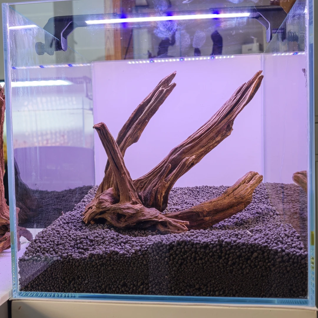 【JASS0011】30或40缸精品沉木造景成品套餐水草缸鱼缸非粘连南美