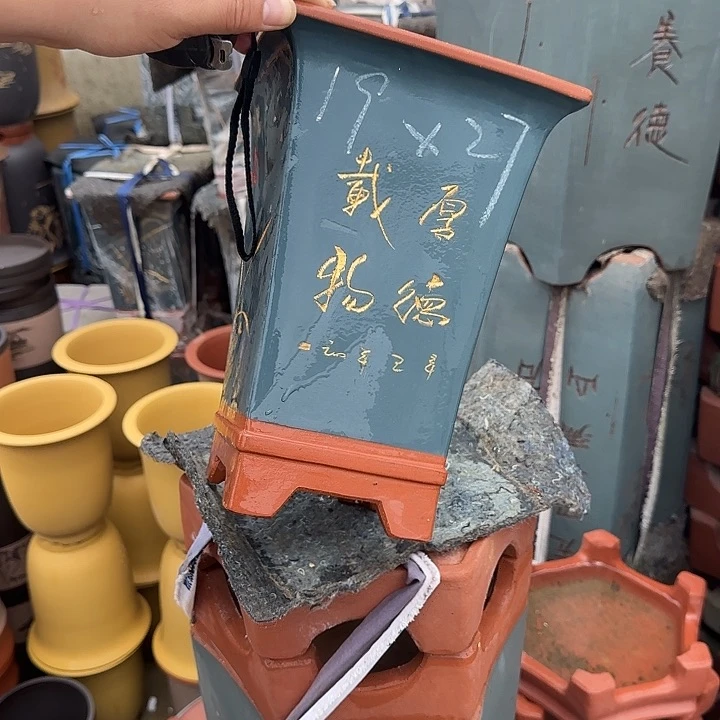 紫砂花盆这是我第一