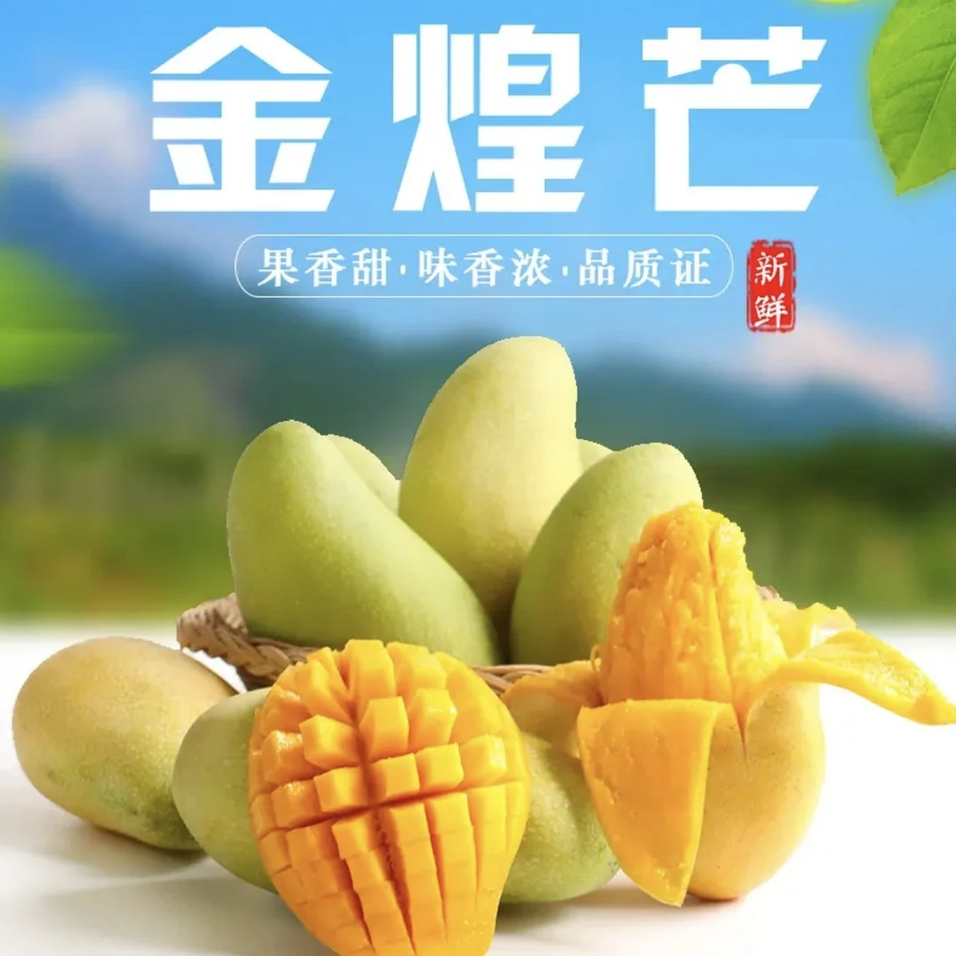 金煌芒应季新鲜水果现摘现发香甜爆汁坏果包赔