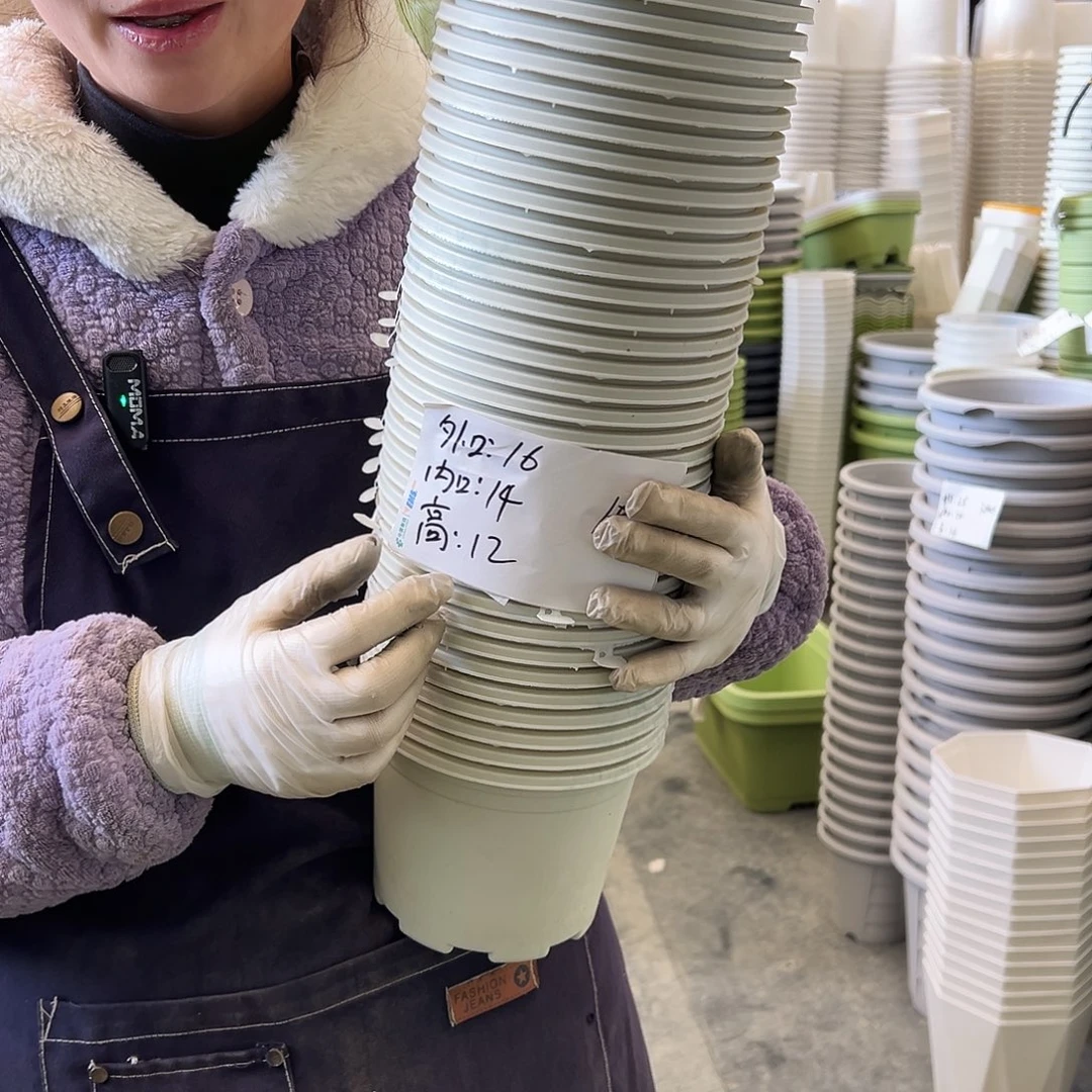 瑕疵矮胖1#米白20个无托