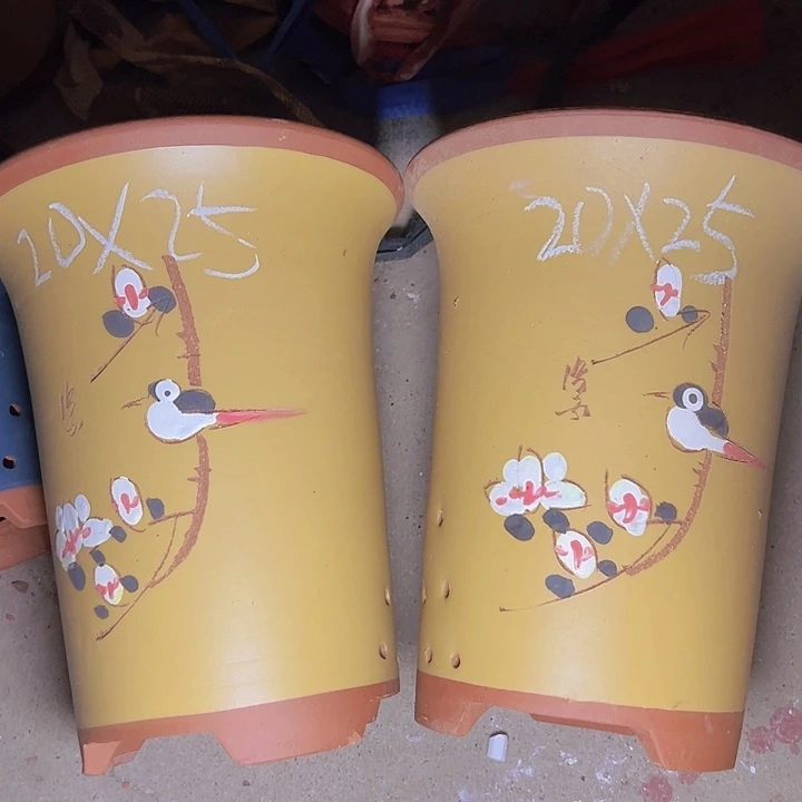 周深周深周深周深周深