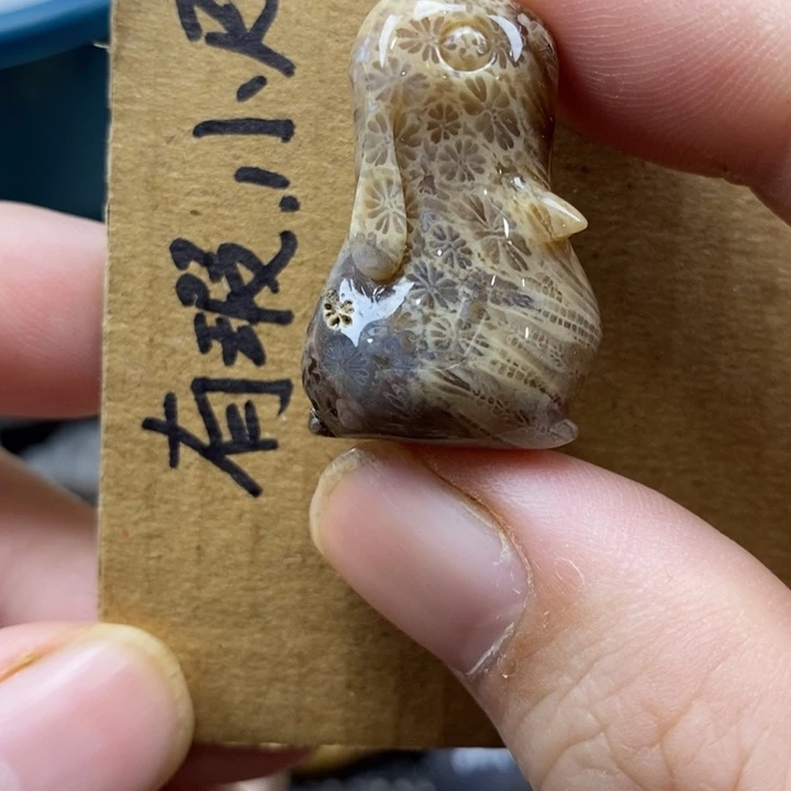 颈饰未镶嵌硅化珊瑚（珊瑚玉）