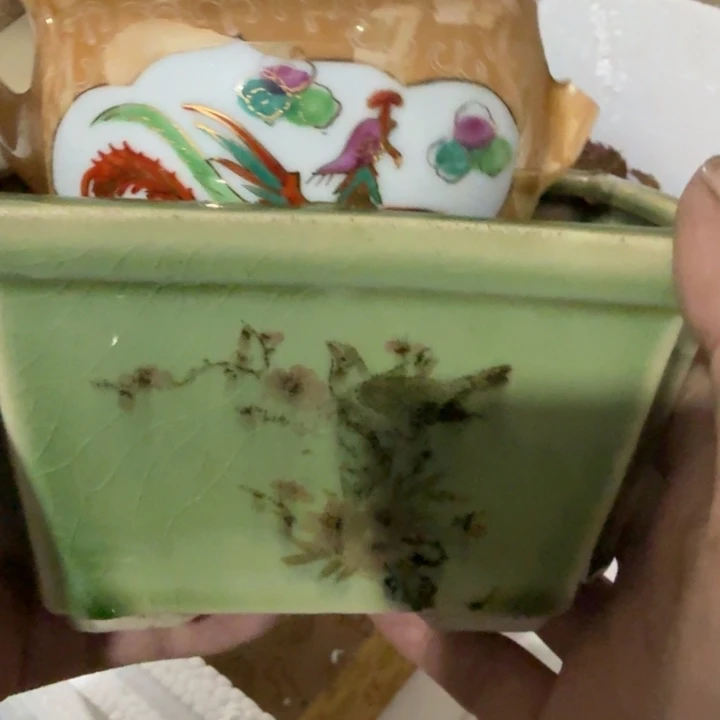 董***人木吃哥哥哥哥刚果共和国哈哈哈