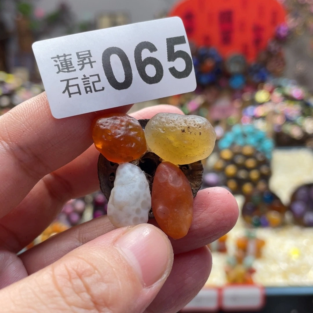 核桃木/黑胡桃（胡桃木）用****5065
