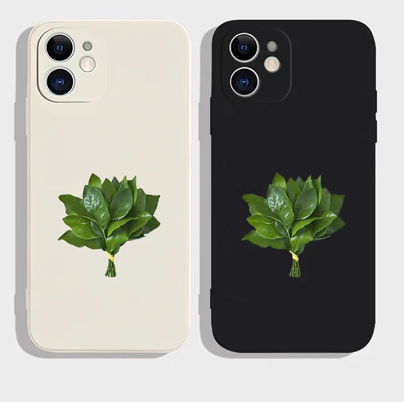 柚子叶去霉气苹果16手机壳小米华为三星OPPO魅族vivo适用一加荣耀