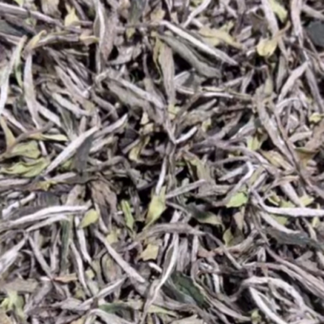 【华茶一号】福鼎白茶2023年荒野特级牡丹王