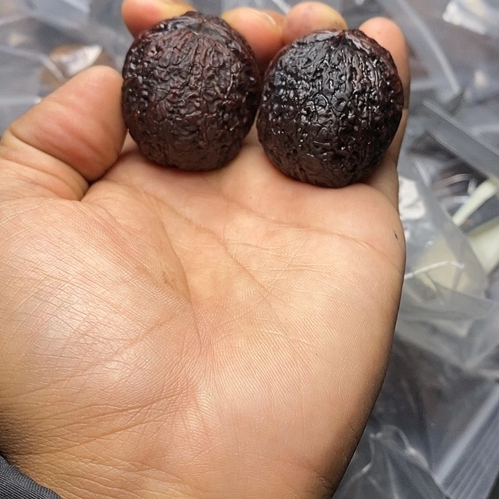 把件文玩核桃   120