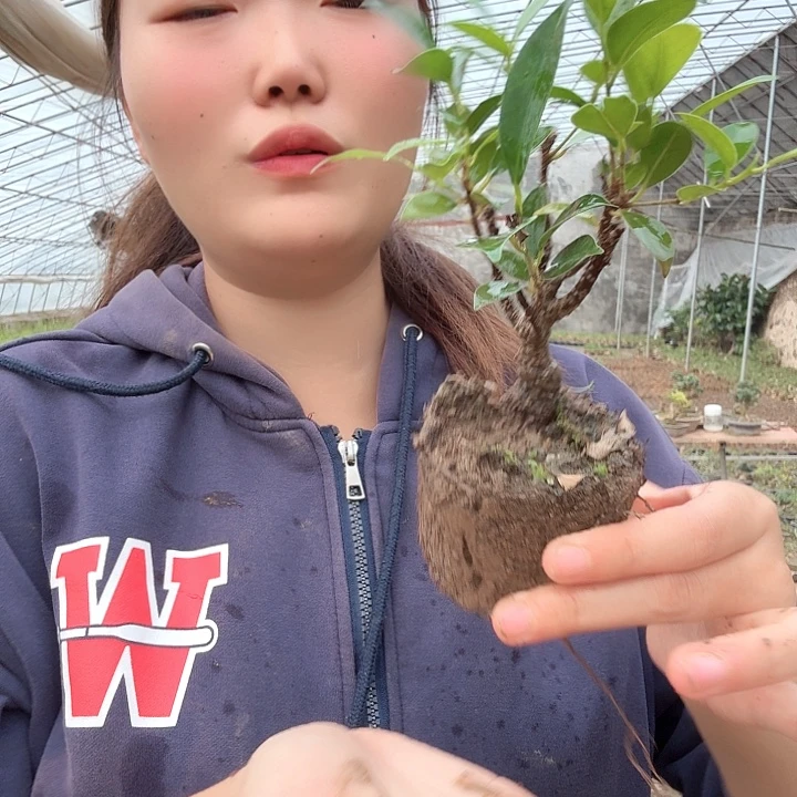 地***泰无花朵哥哥被曝光