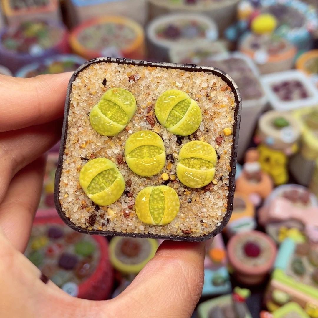 983. 567846875788579