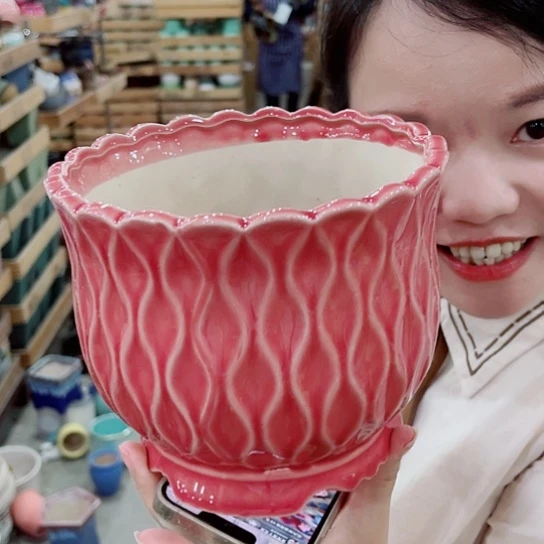 花盆凑单福利满10元发货！