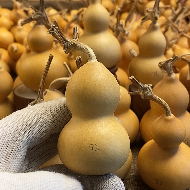 文玩葫芦 完美主义者 慎拍92