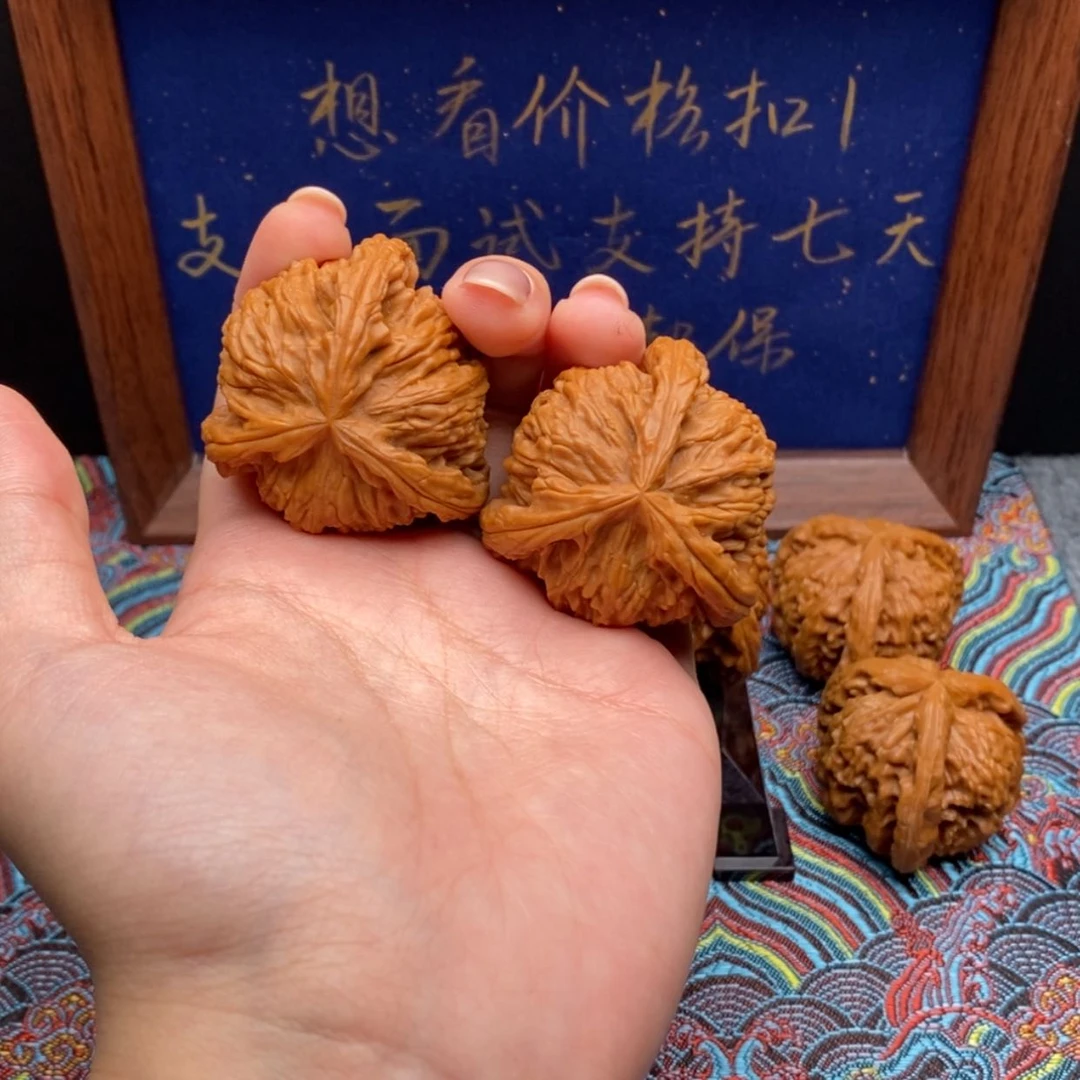 【闪购商品】大****白狮