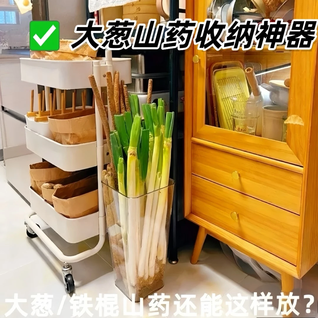 厨房大葱收纳盒长条蔬菜铁棍山药收纳厨房生姜大蒜透明储物收纳桶