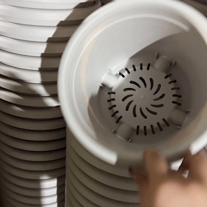 四季3号灰白无托10个特价微瑕