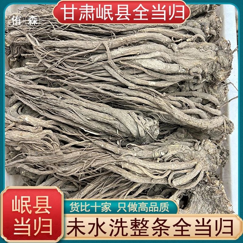 现收新货  甘肃岷县全当归整根 大条 可煲汤 可搭配黄芪 党参煮水