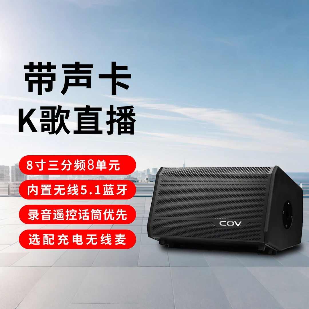 西欧威COV户外移动蓝牙K歌音响280W大功率双八寸吉它电吹管萨克斯