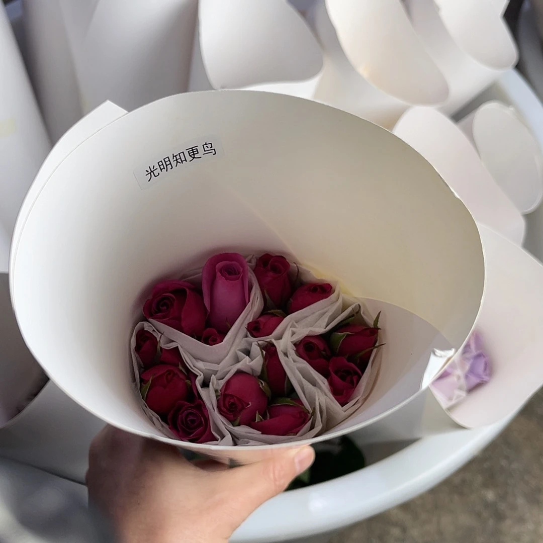 完全开放醒目（知更鸟）一扎