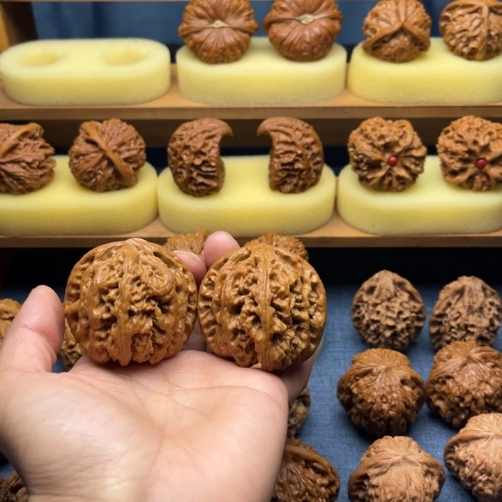 48九龙筋文玩核桃打底