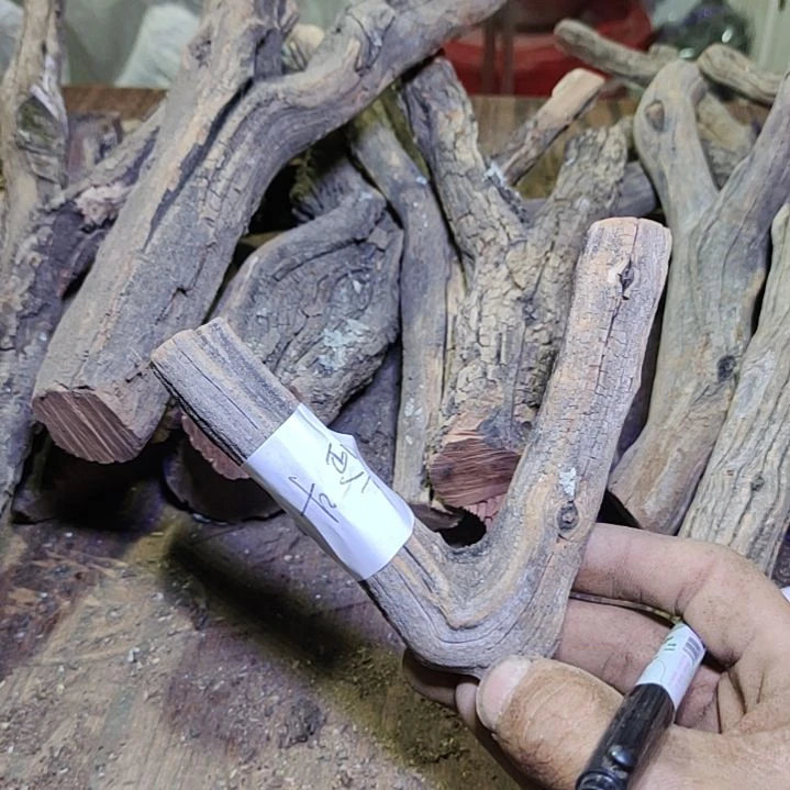 奋***B火琉璃原杈不保沉水慎拍！