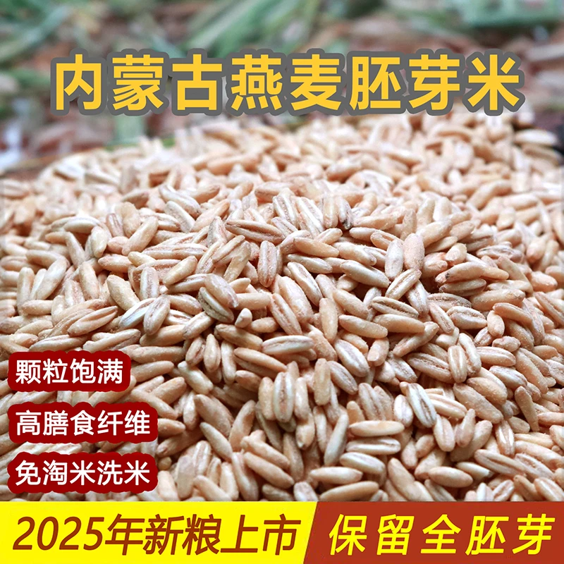陶爱格【2025年新粮】胚芽燕麦米 500g/袋 脱壳免淘洗 燕麦真空包装