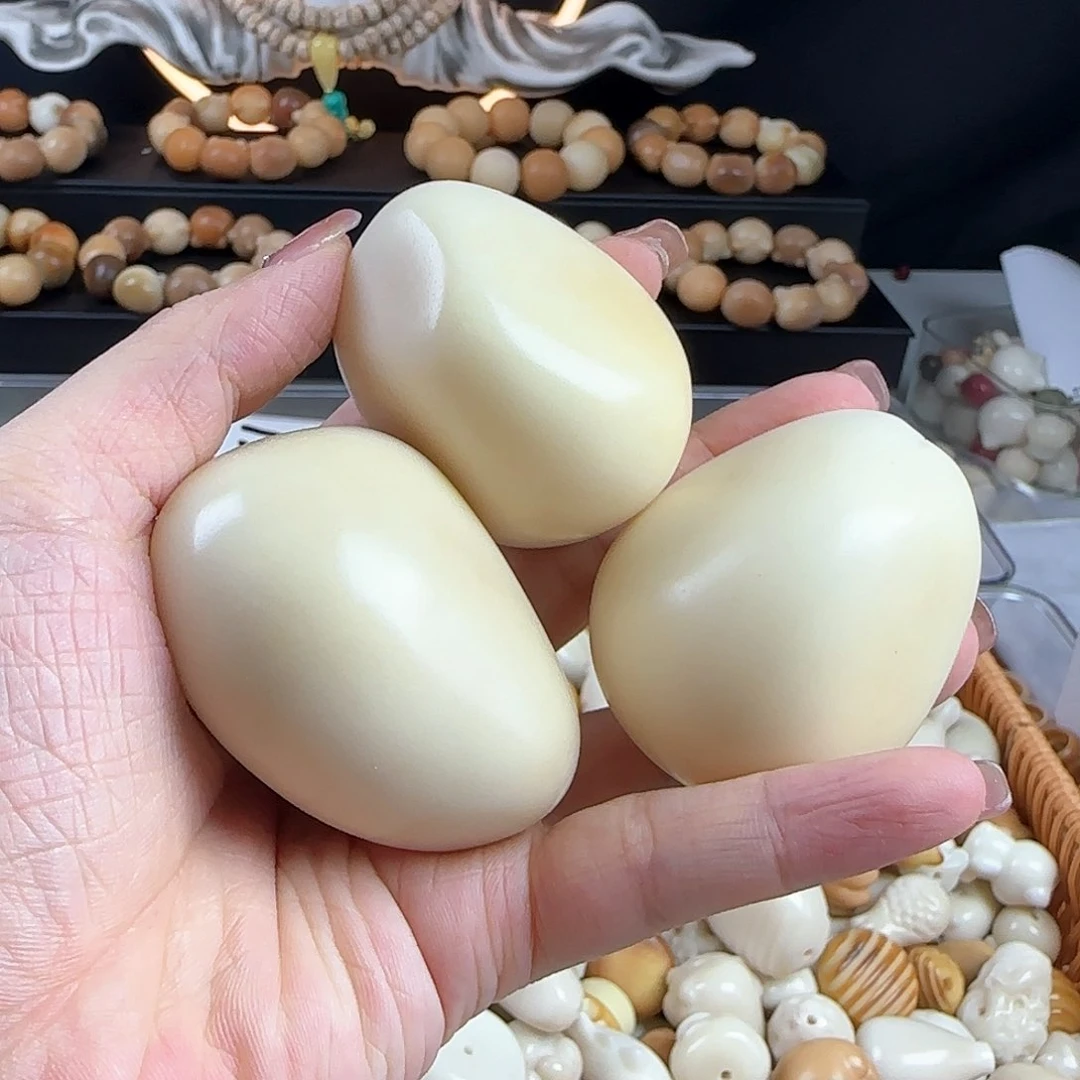 菩提根/象牙果手串小瑕疵牙果手把件1个